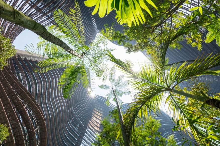 在CBD也可以擁抱綠色自然——細數新加坡那些鬧中取靜的Secret Garden