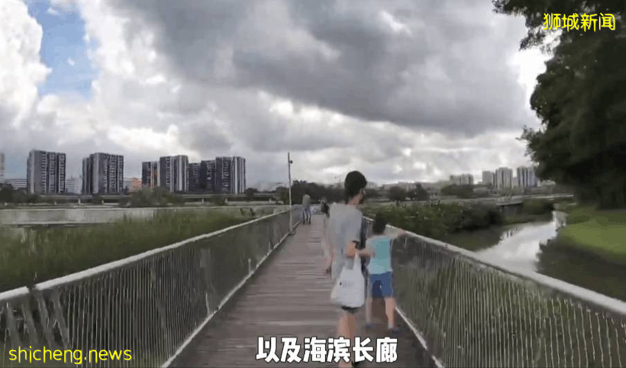 疫情不再宅家!新加坡10个超美户外蓄水池走起~人少风景好