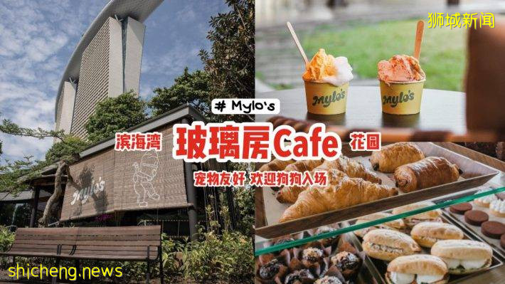 滨海湾花园新玻璃房Cafe“Mylo's”✨手作Gelato味道纯正、防暑解热必备🍨宠物友好、提供狗狗零食🦮