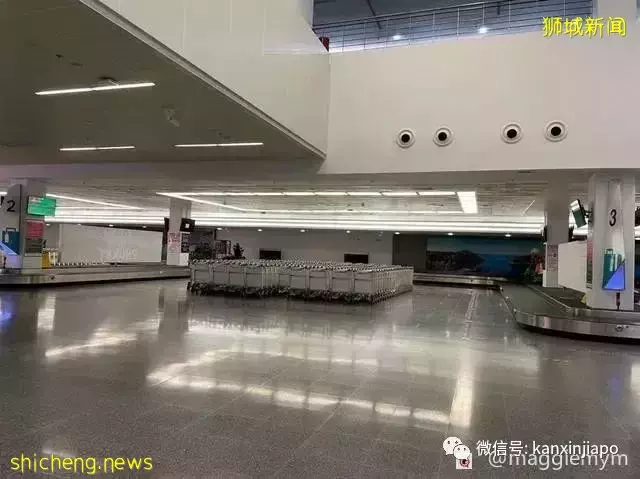 记录疫情下的首次跨国旅行,新加坡飞泰国全攻略