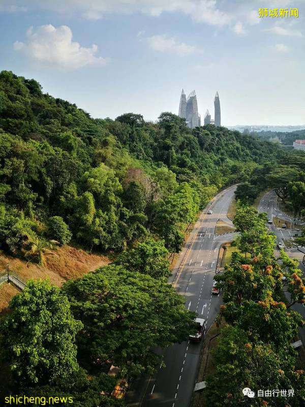 疫情過後,去新加坡不可錯過的16個體驗!