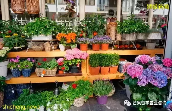 來新加坡7年，結婚生子，我們一家三口還是決定放棄PR回國了