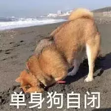 大型社死現場!我在新加坡相親,竟然遇到了中學老師