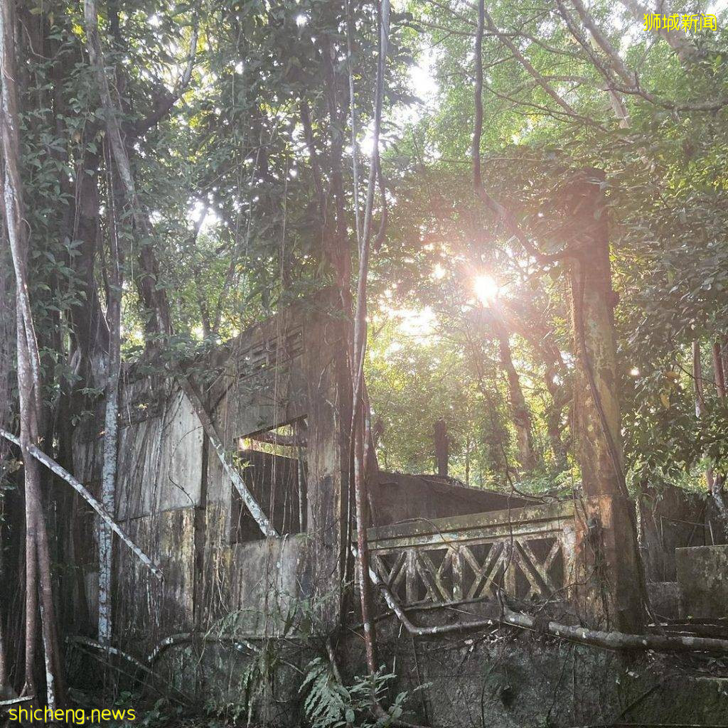 结合自然+文化遗产、汤申自然公园攻略🔎5条徒步路线、可以看到海南村旧建筑+珍稀动物🐒