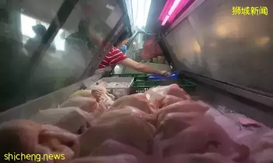 新加坡“雞肉荒”解決了!印尼進口10萬斤雞肉即將開賣