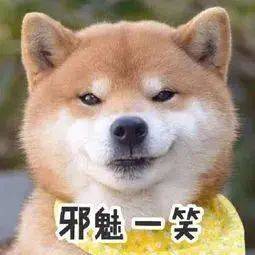 求求你,不要再说自己了解新加坡留学了