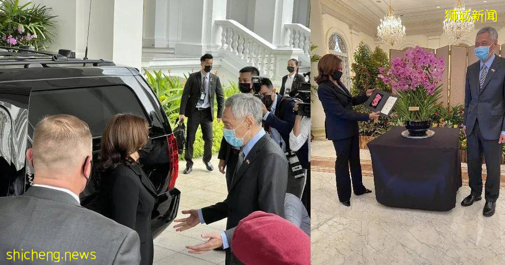 美國副總統訪問新加坡，談成了什麽？竟遭中國網友吐槽