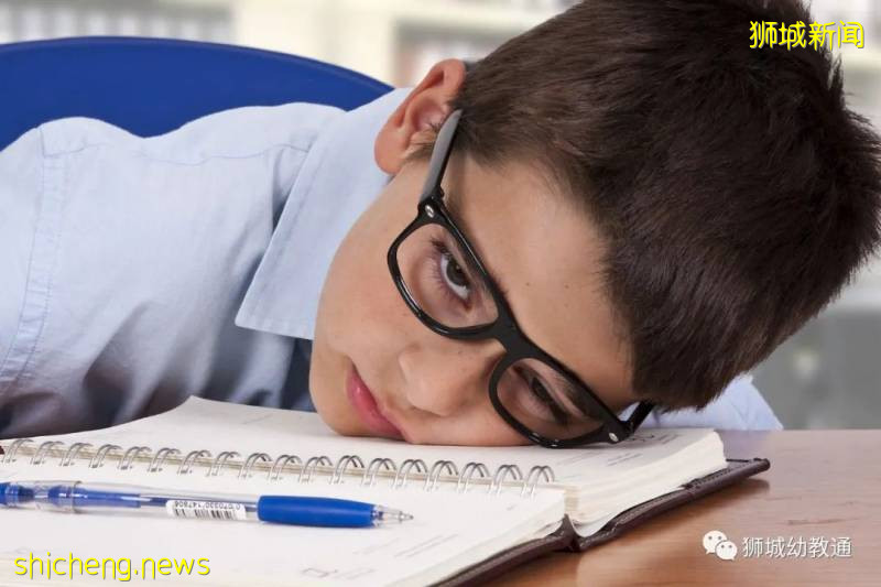 勵志!英語零基礎的7歲娃,2個月考入新加坡政府小學!