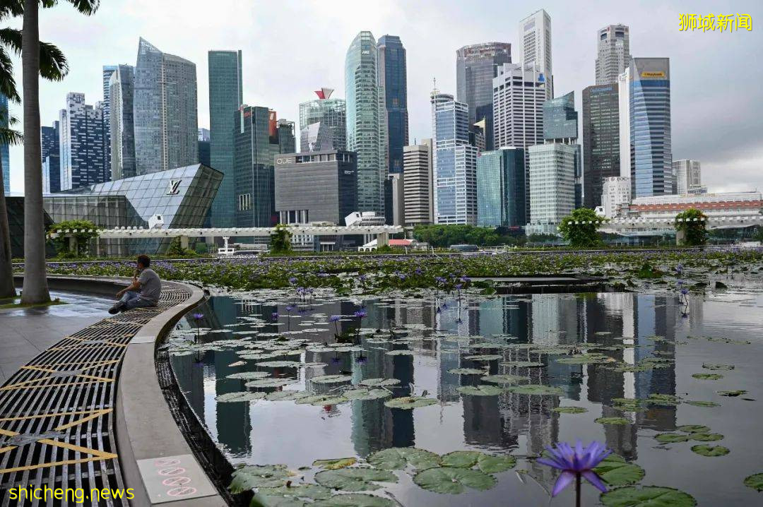 抗疫“模範生”新加坡近期哪裏出錯了？Privilege怎麽說沒就沒了