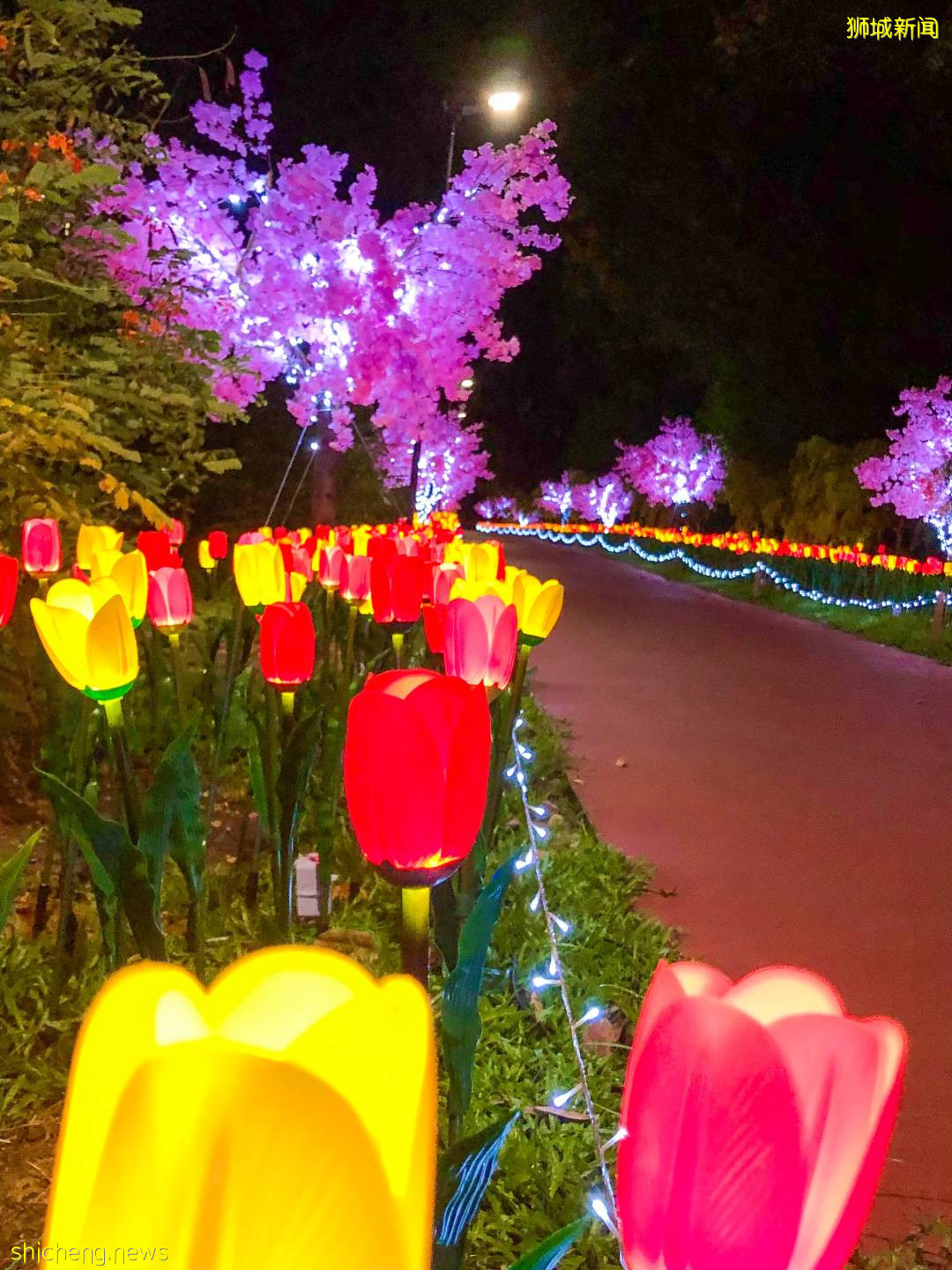 恐龙、游园、卡丁车、环球之旅,樟宜机场都能玩