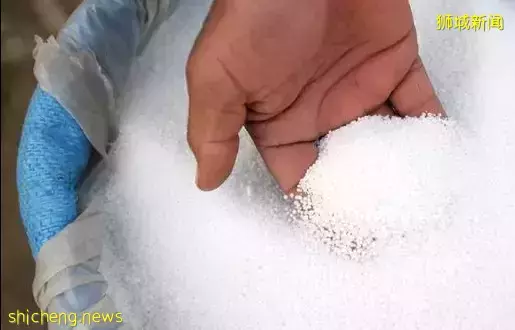 李总理:保持警惕!这个恐怖组织潜伏新加坡20年,曾策划惊天大爆炸