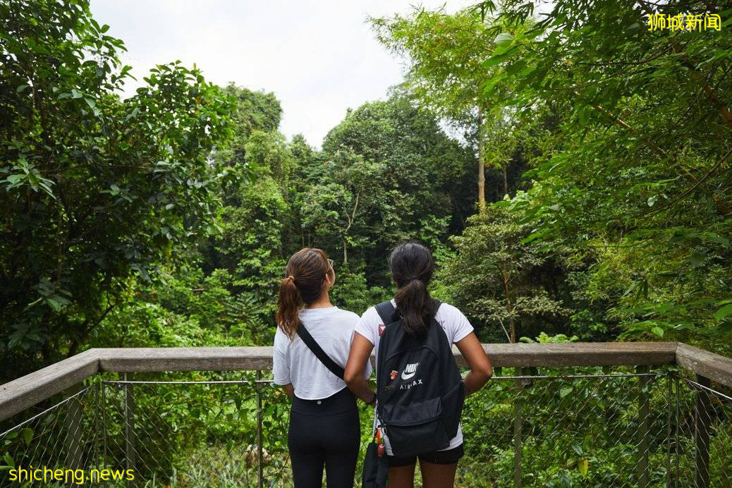 遛娃!徒步!燃烧卡路里~这个新加坡宝藏公园,翻新后更好玩