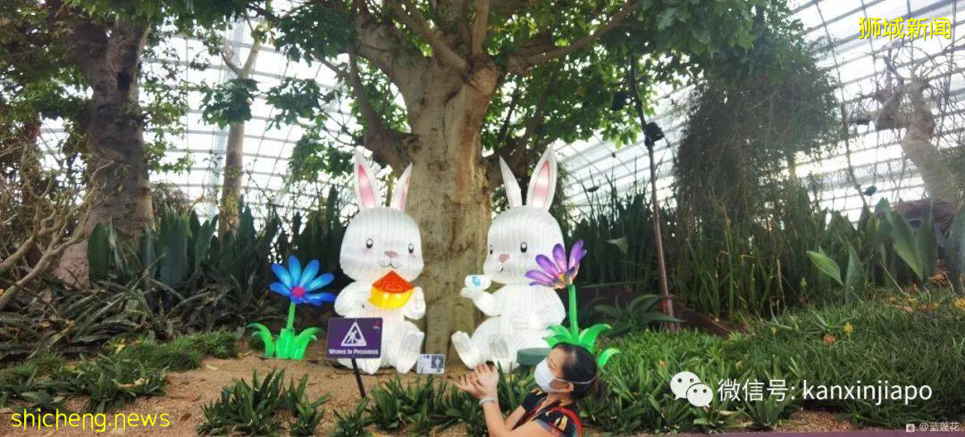 新加坡親子好去處！濱海灣～花穹～雲霧森林～空中步道半日遊