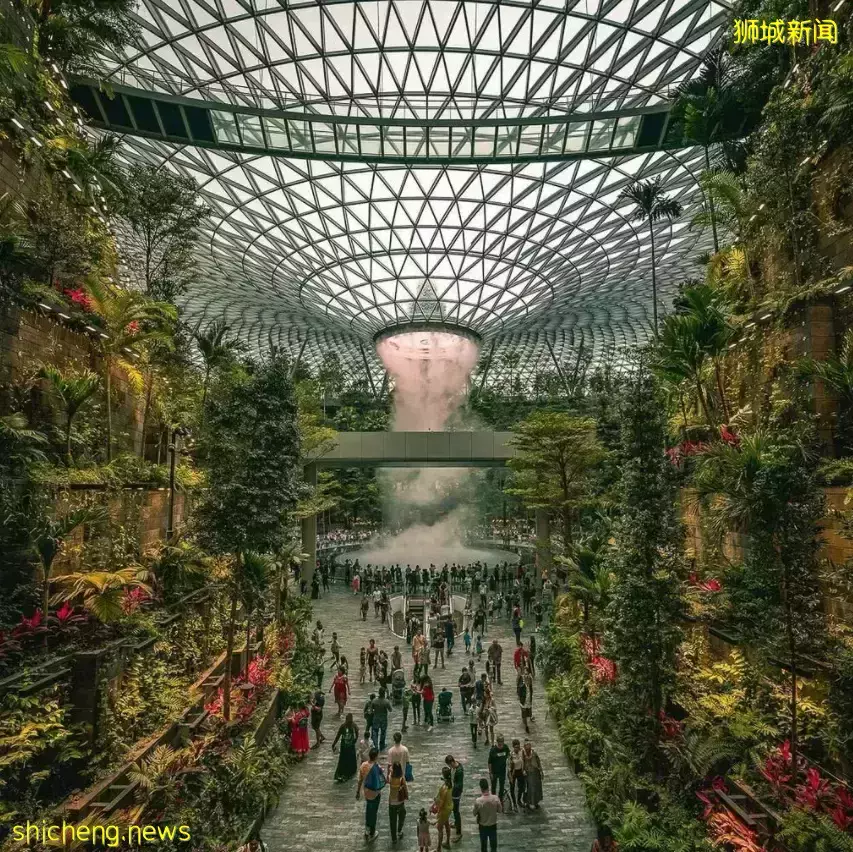 几十张图带你了解别样的新加坡