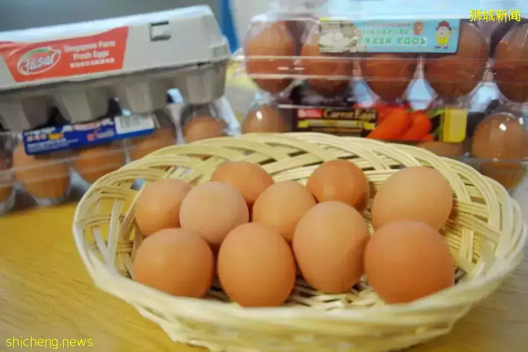 鸡蛋价格飙至50年最高?!货源短缺、新加坡农场出现鸡瘟
