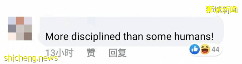 解封首個周末奇葩事件!溫泉輪流泡腳10分鍾、野豬野雞也瘋狂!