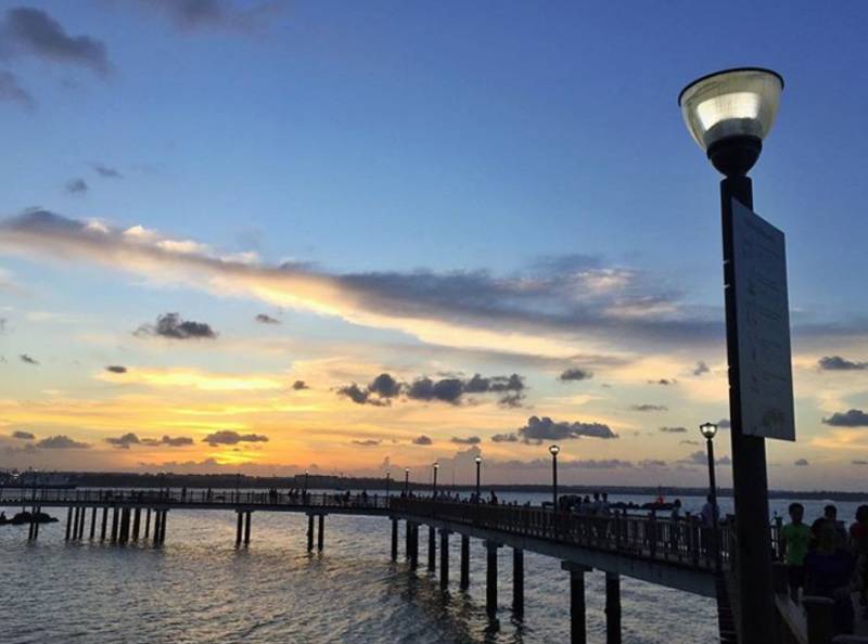 觀鳥、陡坡、嬉水、看夕陽,13條新加坡最美親子騎行路線