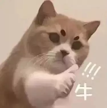 新加坡的K12教育你知多少