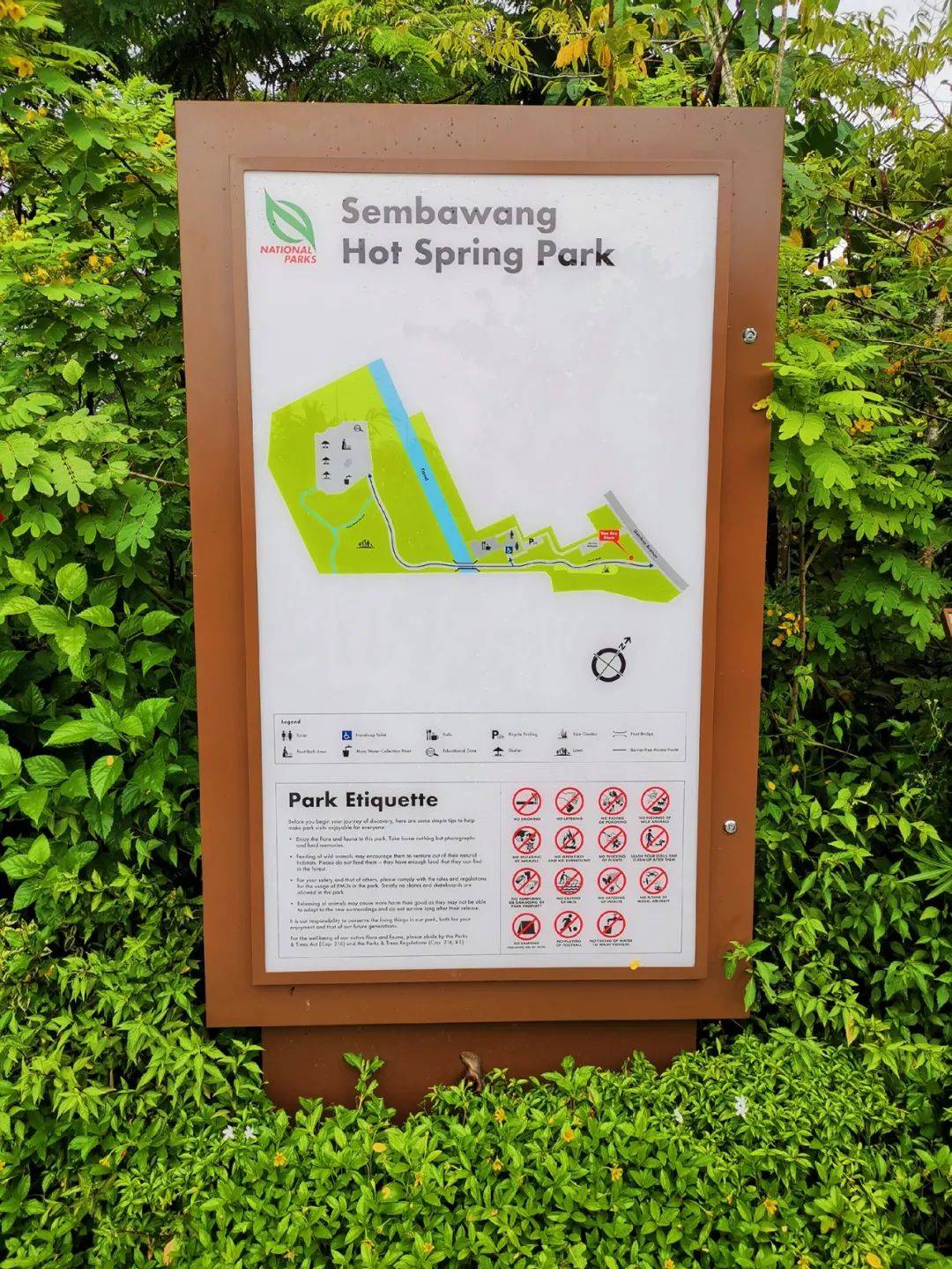 在新加坡泡脚,这里完全免费