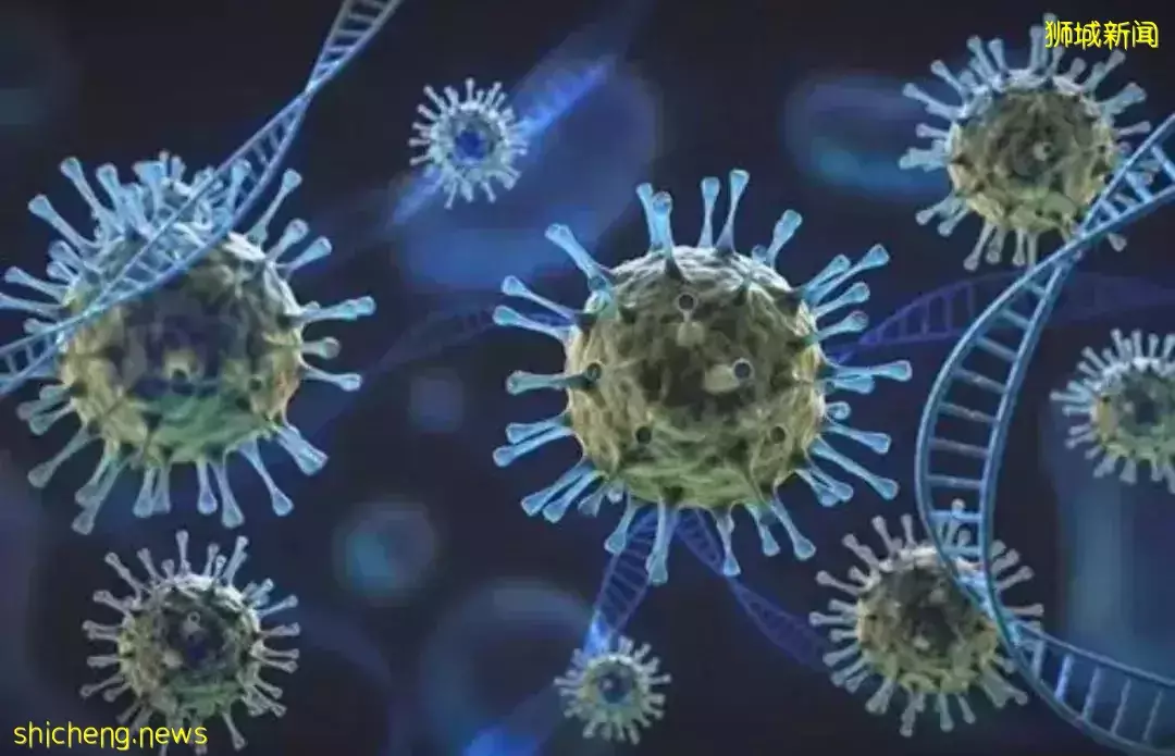 新冠病毒传播又有新途径？诊所反馈：新加坡患者后遗症增加