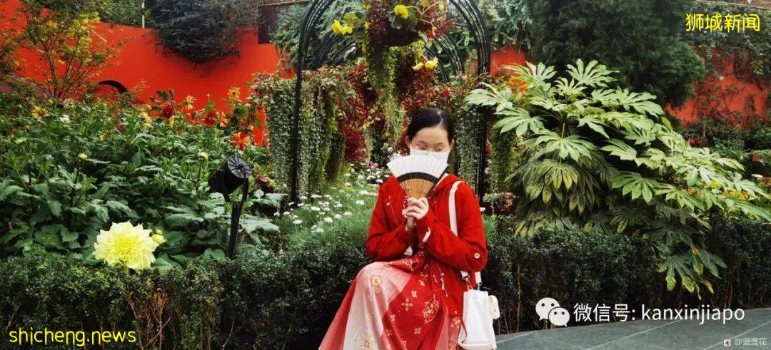 新加坡親子好去處！濱海灣～花穹～雲霧森林～空中步道半日遊