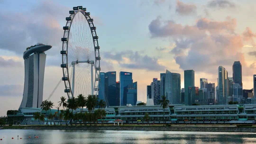 网友投稿!血清检测阳性居然也能顺利回国?来看看中国至新加坡往返过程真实记录