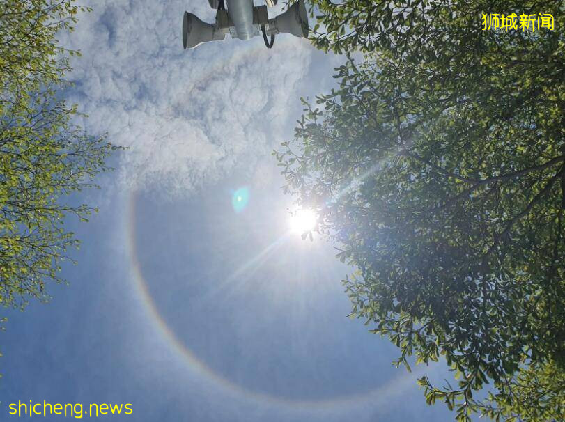 新加坡天降異象、美到犯規！網友大呼：滾蛋吧！病毒君！ .