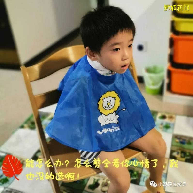 新加坡小一报名,记录一个PR的孩子求学之路