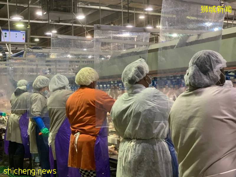 德國、美國肉類工廠確診破1000、百事中國8人確診!新加坡進口食品還安全嗎!