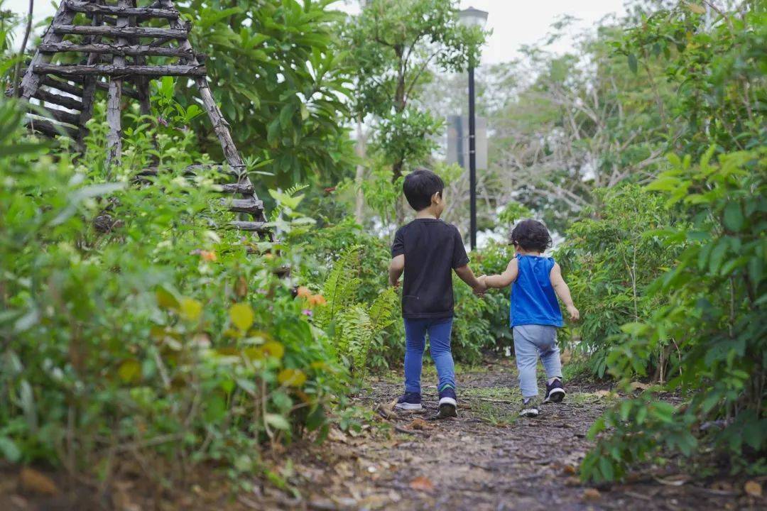 東海岸Big Splash水上樂園關閉四年,搖身一變成爲全新海岸樂園Coastal PlayGrove