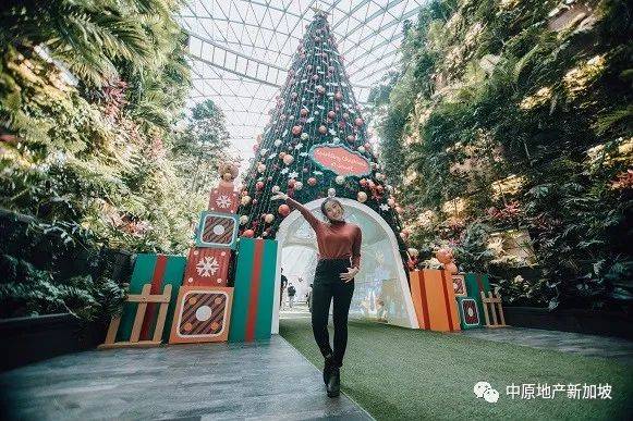 HOHOHO! 新加坡2020年聖誕節最受歡迎的5個拍照打卡景點
