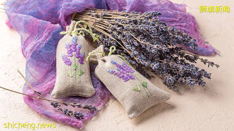 【世界夢號】郵輪大促它來了！驚喜價格$199新幣起！還有免費升艙福利