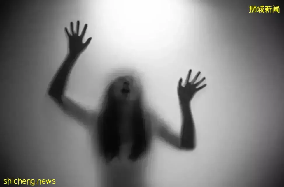 色膽包天!新加坡男子屢次非禮女房客終被罰