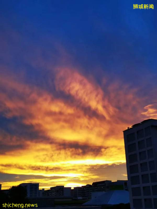 刷屏!新加坡昨天出现绝美彩虹,副总理也忍不住转发!