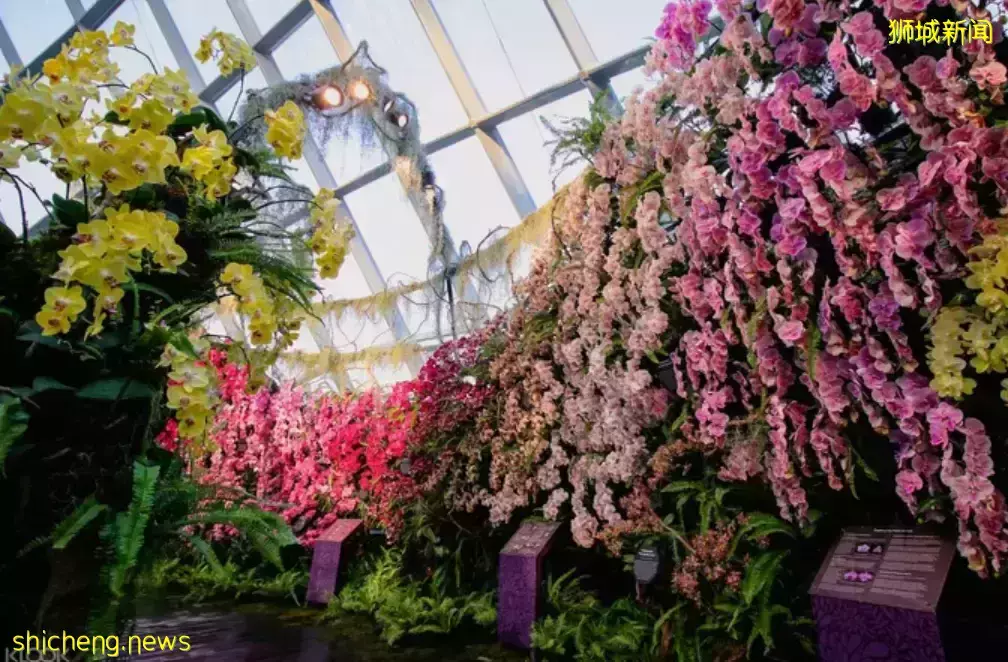 新加坡2021年聖誕節目和活動：環球影城、濱海灣花園、聖誕大餐及更多