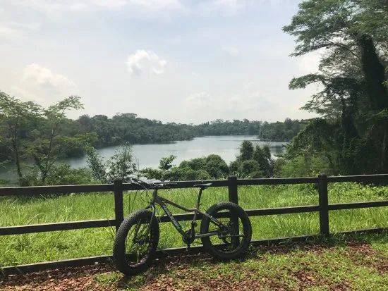 觀鳥、陡坡、嬉水、看夕陽,13條新加坡最美親子騎行路線
