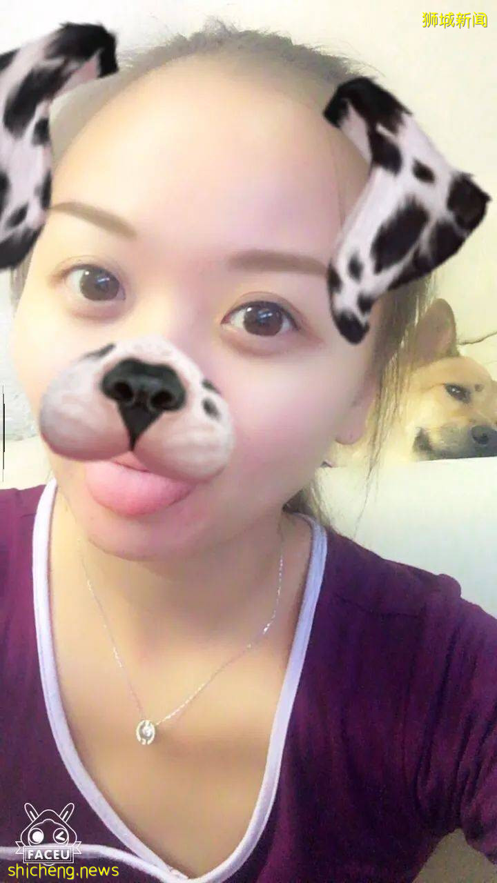 “我最亲爱的四喜走了,带走了我在新加坡16年的青春和回忆...”