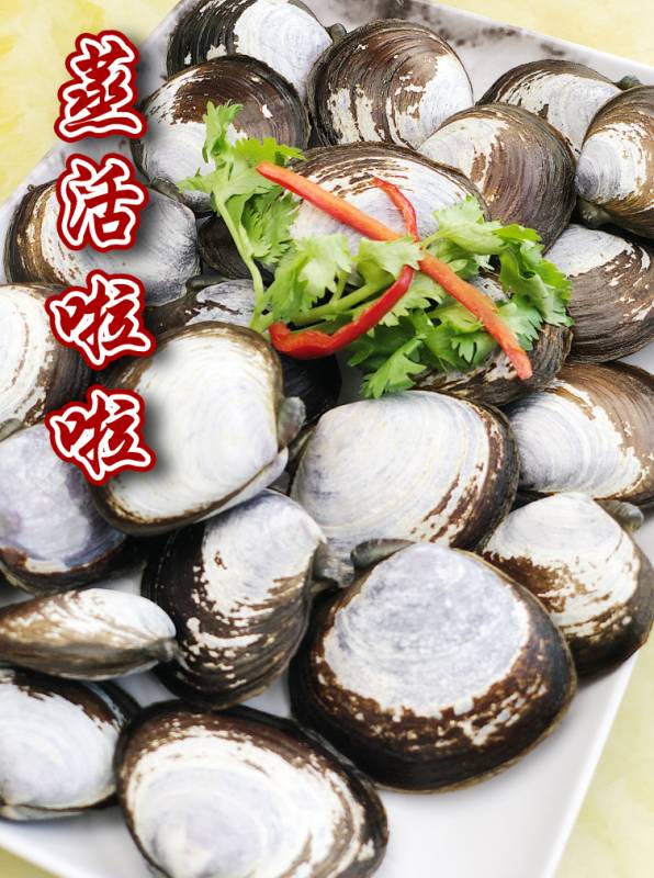 波士頓龍蝦免費吃!新加坡這家人均不過30的海鮮店又要逆天了