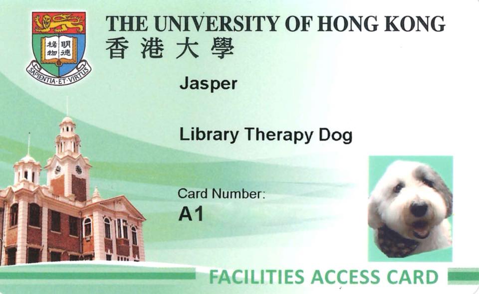 狗比人更善解人意　香港大学聘狗儿为学生减压