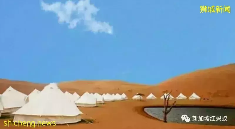 中港掀起豪華露營風　一晚850新元可能還訂不到