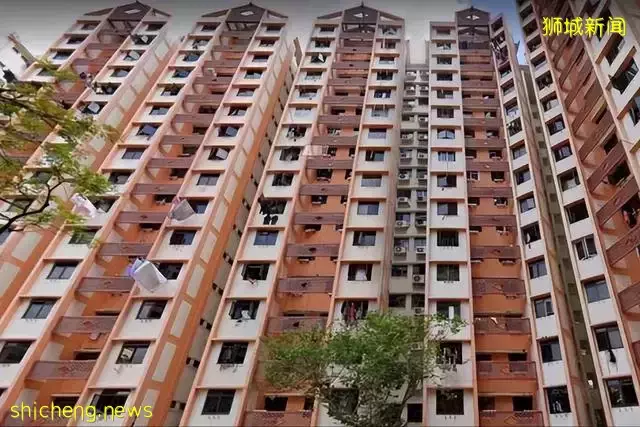 发达的新加坡，竟然随处可见小动物！新加坡冷知识（精选集）