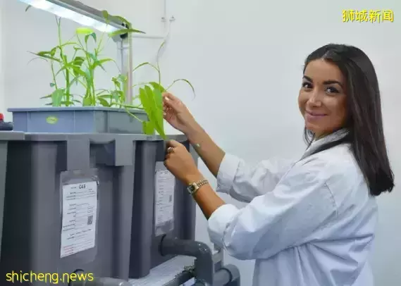 【院校推薦】去新加坡留學，拿澳大利亞名牌大學文憑！快來看看這個寶藏學校