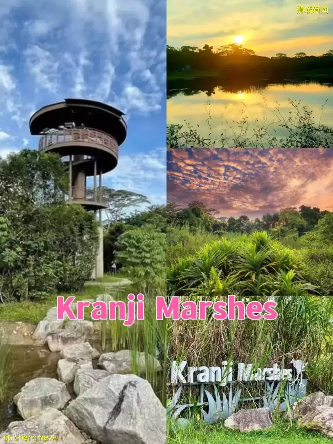 远足、观鸟、露营,还有大鳄鱼!新加坡的5大湿地公园一定要去