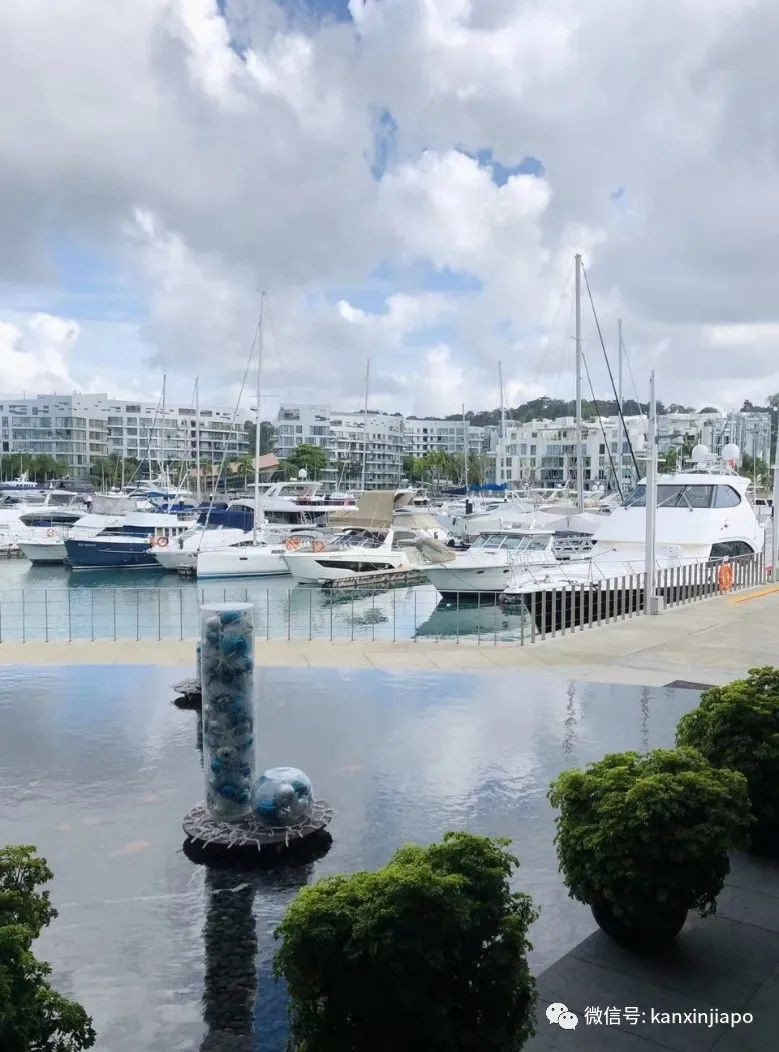 学区?海景?乌节路?中国人喜欢在新加坡买什么样的房?