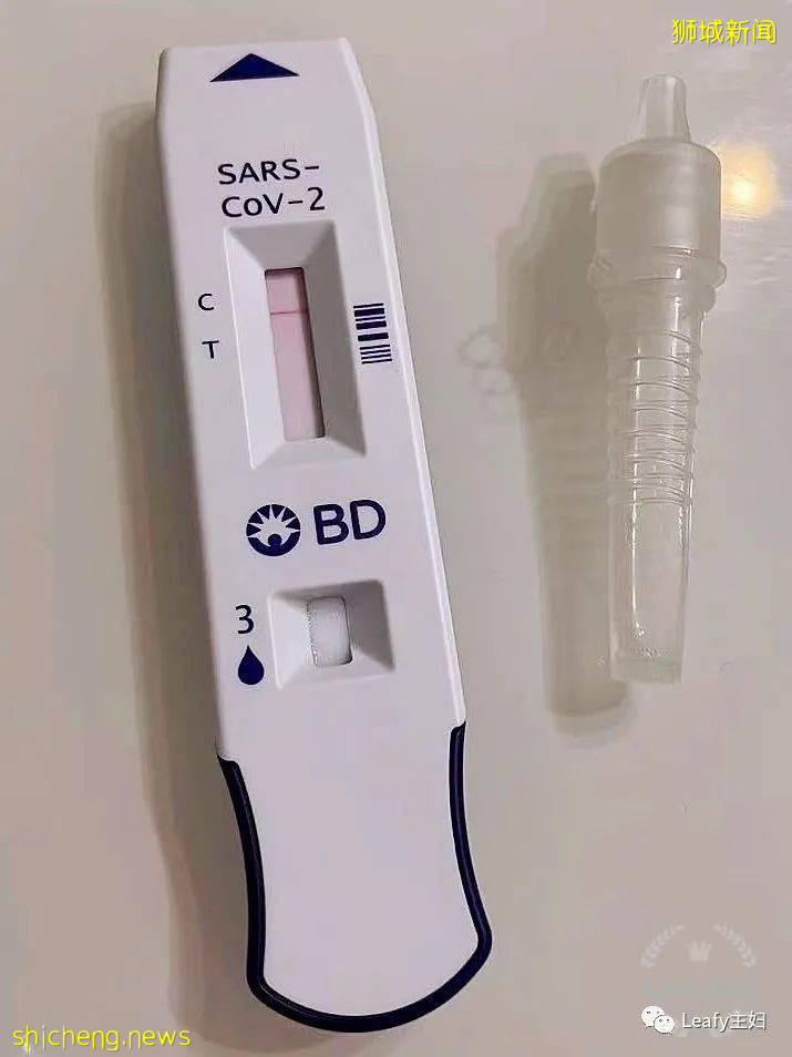 捅鼻子自测成新加坡必备技能,从娃娃抓起