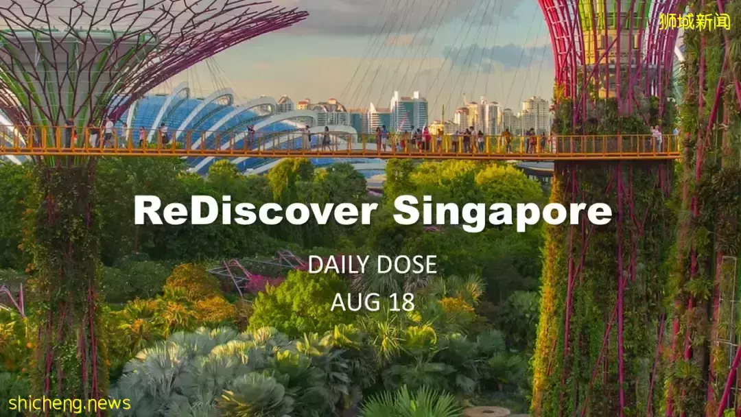 下月起，這15個新政開始生效！影響全島每個人！張文宏贊新加坡防疫和中國一樣好