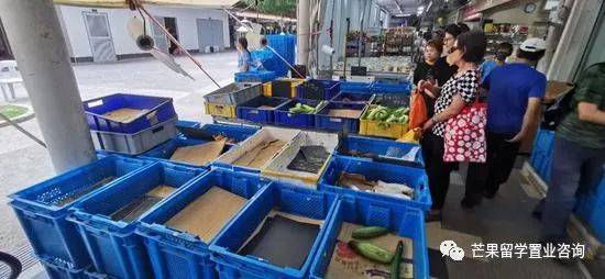 新加坡消費稅將逐步調整！盤點那些消費稅最高的國家