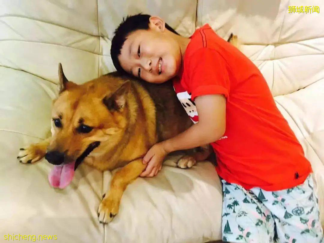 “我最亲爱的四喜走了,带走了我在新加坡16年的青春和回忆...”