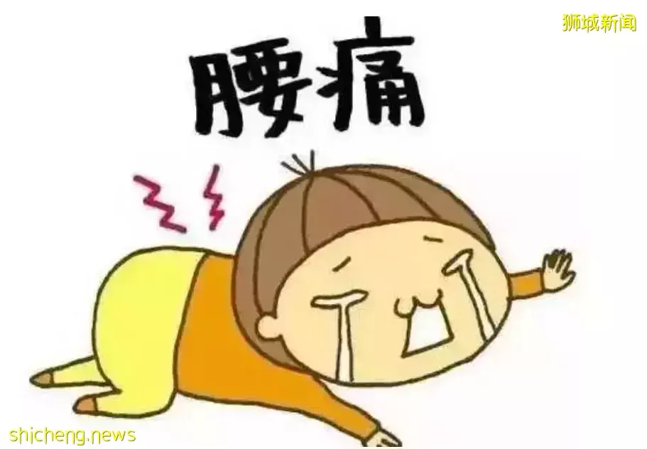 新加坡人搭飞机欲望有多强？排队排的老娘腰疼