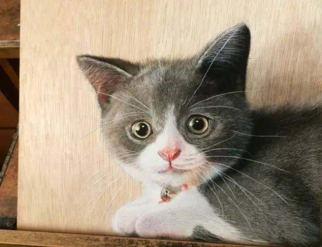 新加坡艺术家的立体逼真写实画！真假难辨啊